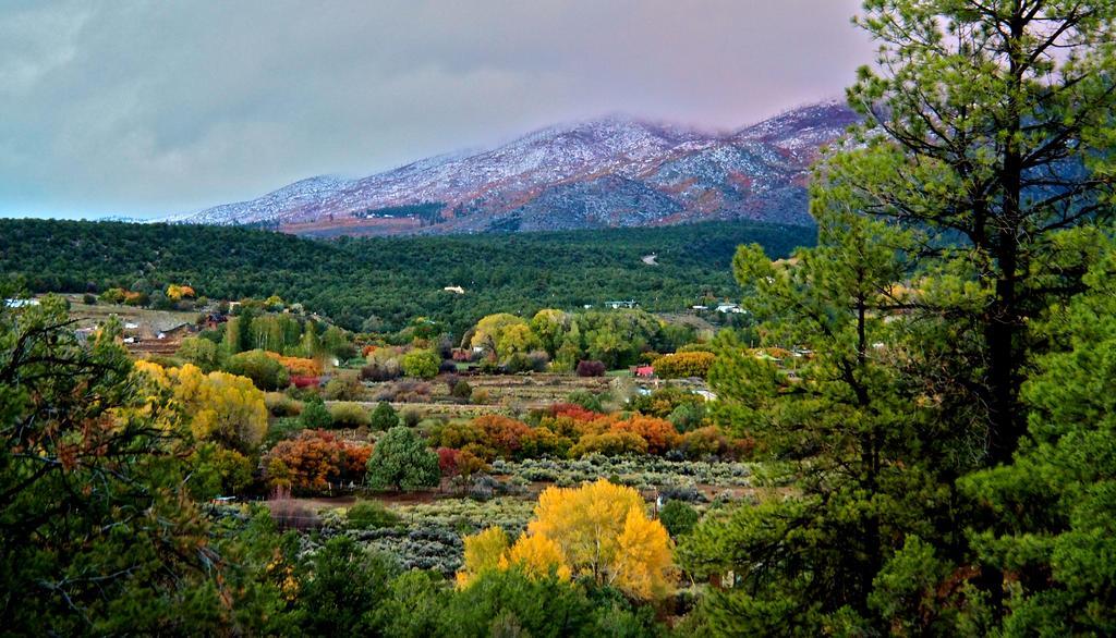 Taos Goji Farm & Eco-Lodge Retreat Arroyo Seco Εξωτερικό φωτογραφία